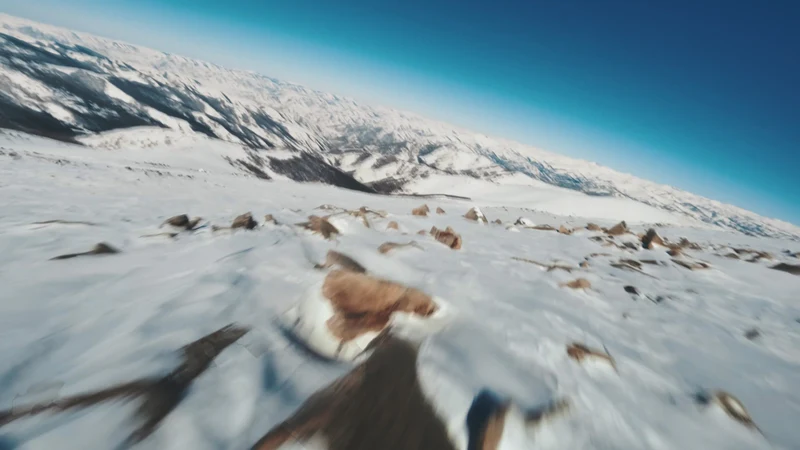 Built for the Bold Explorer